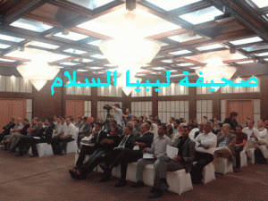 DSC00113-(Copy)
