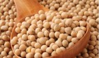 soybean-properties
